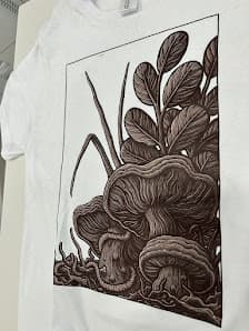 Galería de Acom Andorra 4