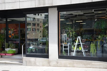 Imagen principal de Àngels Flors Floristeria