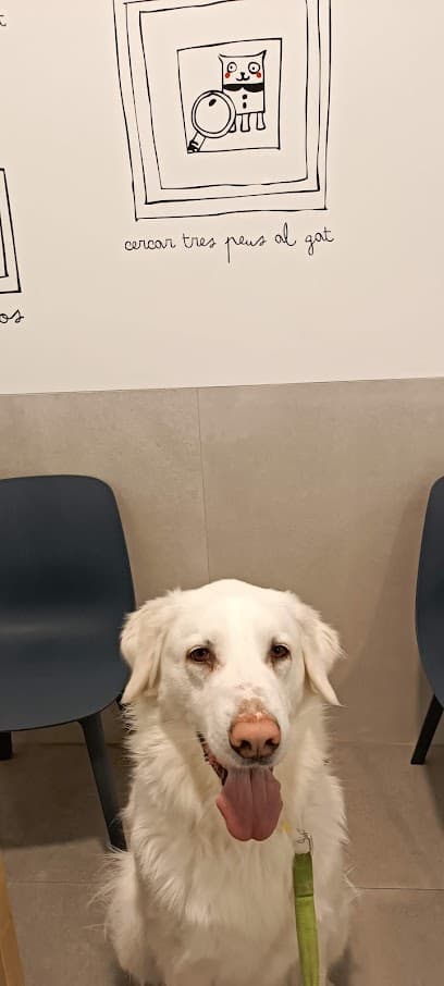 ANIMALONS HOSPITAL VETERINARIO