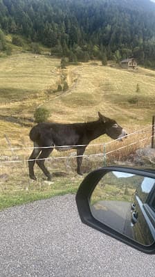 Imagen principal de AnyósPark