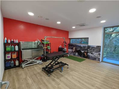 Galería de Art Mascota 2