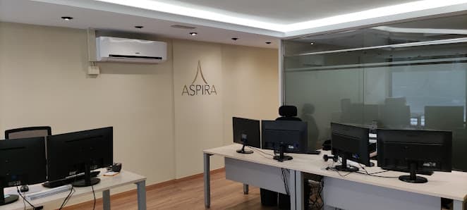 Galería de ASPIRA | Assessorament empresarial 3