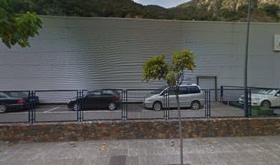 AUTOMOBILS PYRÉNÉES, S.A. - Smart