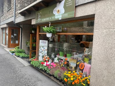 Imagen principal de BorgesFlors