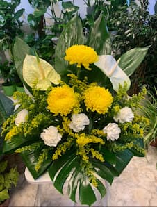 Galería de BorgesFlors 4