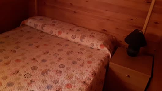 Galería de CÀMPING PLA 3