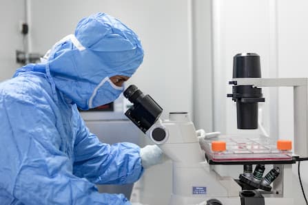 Galería de Cellab 2
