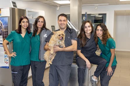 Imagen principal de El Griu Hospital Veterinari