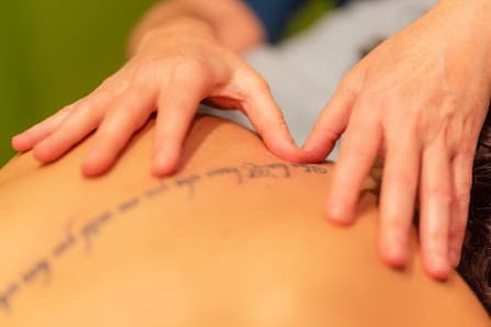 Galería de Equilibri Bio Concept 2