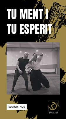 Galería de Escola d'Aikido Kokoro Dojo Internacional 3
