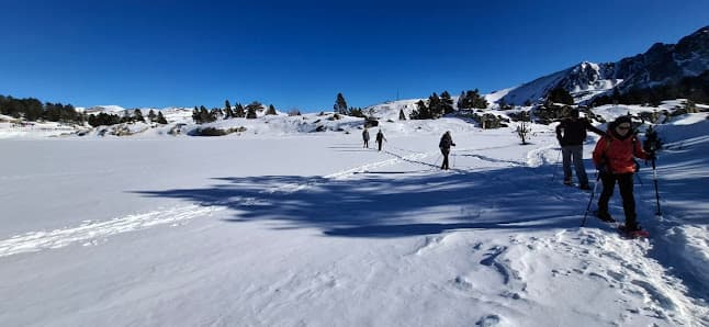 Galería de Esports Elit 4