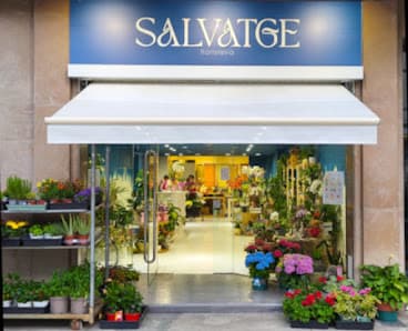 Imagen principal de Floristeria Salvatge
