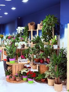 Galería de Floristeria Salvatge 2