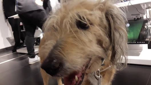 Galería de FNAC Andorra 3