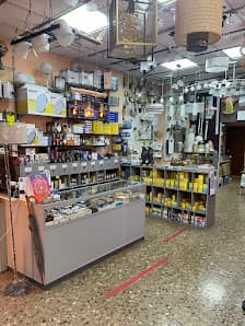 Imagen principal de Font-Elèctrica