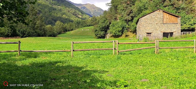 Imagen principal de Fotografía Carlos Fernandez