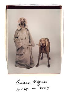 Galería de Galeria Alta 2