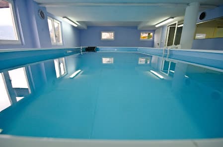 Imagen principal de GOSSWIM Hidroteràpia canina