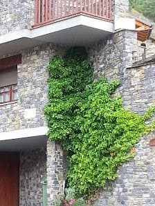 Galería de Hotel Prats 2