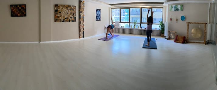 Galería de Illa Harmonia 2