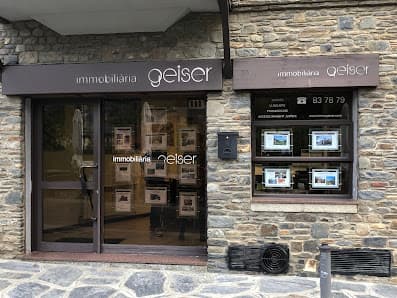 Imagen principal de IMMOBILIARIA GEISER