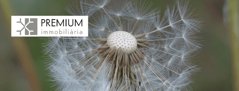 Immobiliària PREMIUM