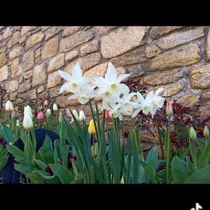 Galería de Jedy Serveis 100% 2