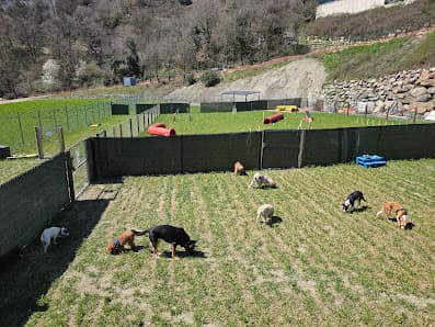 Imagen principal de Kissos Andorra