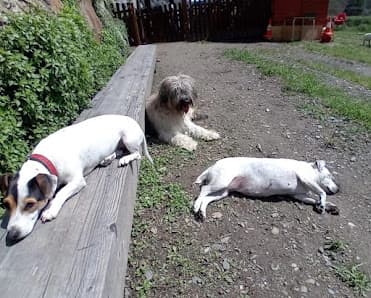 Galería de Kissos Andorra 2