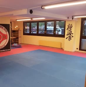 Imagen principal de Kyokushin-Do Arts Marcials