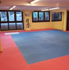 Galería de Kyokushin-Do Arts Marcials 2