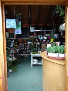 Imagen principal de La Gespa Garden Center