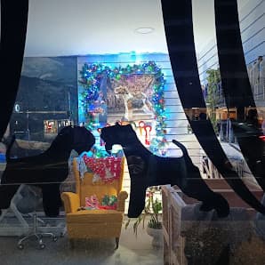 Imagen principal de Lavakan Andorra | Spa per a mascotes