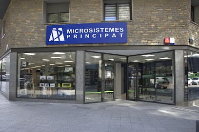 MICROSISTEMES PRINCIPAT