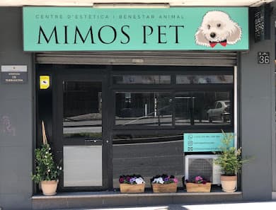 Galería de Mimos Pet Wellness 3