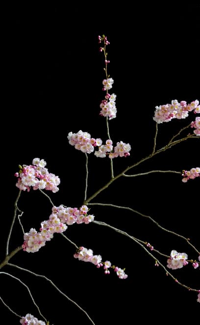 MIQUEL MERCE FOTOGRAFIA