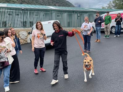 Galería de Official kennel and cattery of Andorra 2