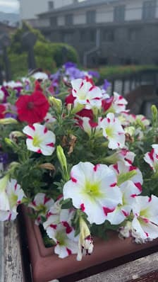 Galería de Pal Arinsal Oficinas 3