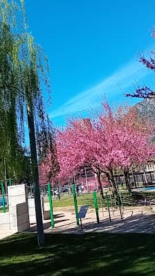 Galería de Parc Infantil Veedors 2