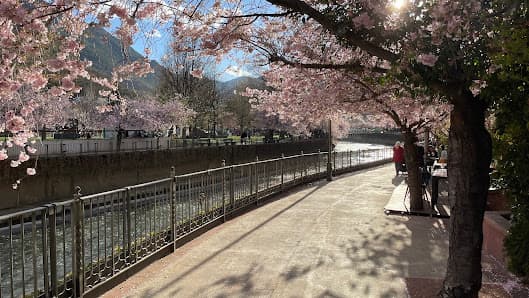 Imagen principal de Parque Central