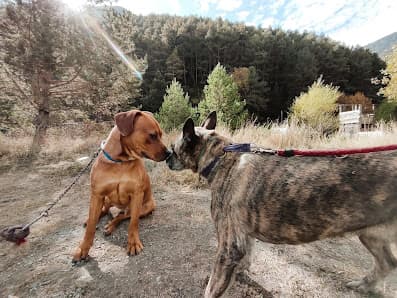 Galería de Passeja'm 3