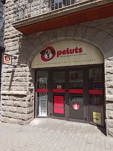 Imagen principal de peluts