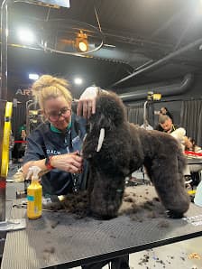 Galería de PERRUQUERIA CANINA GOS NET 2