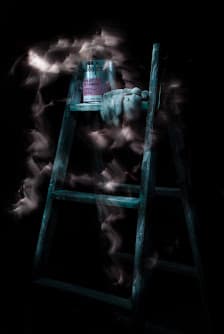 Imagen principal de Pinzell de plata