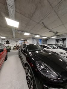 Ver galería de PLATINUM