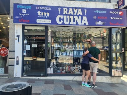 RAYA ELECTRONICA