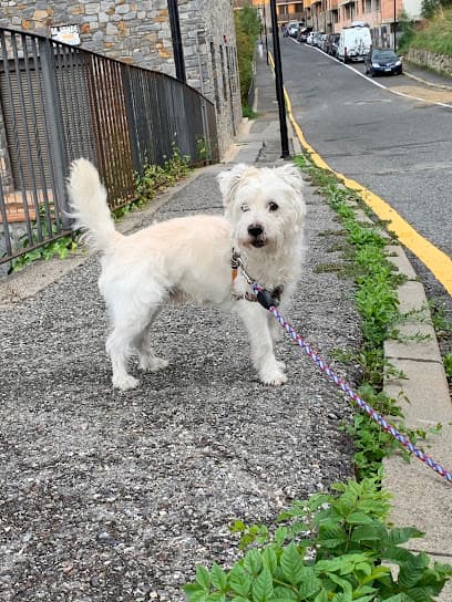 RESIDENCIA I EDUCACIÓ CANINA AMIC GOS