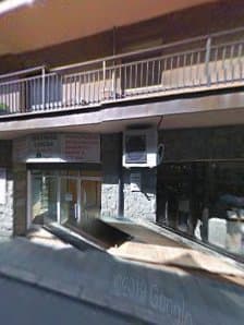 Ver galería de Shami's