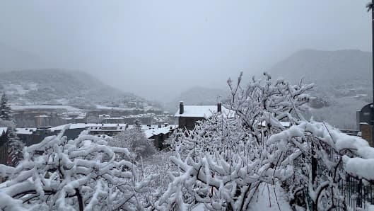 Galería de Shelby's La Massana 3