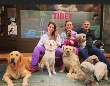 Galería de Tibet by Gerd 2